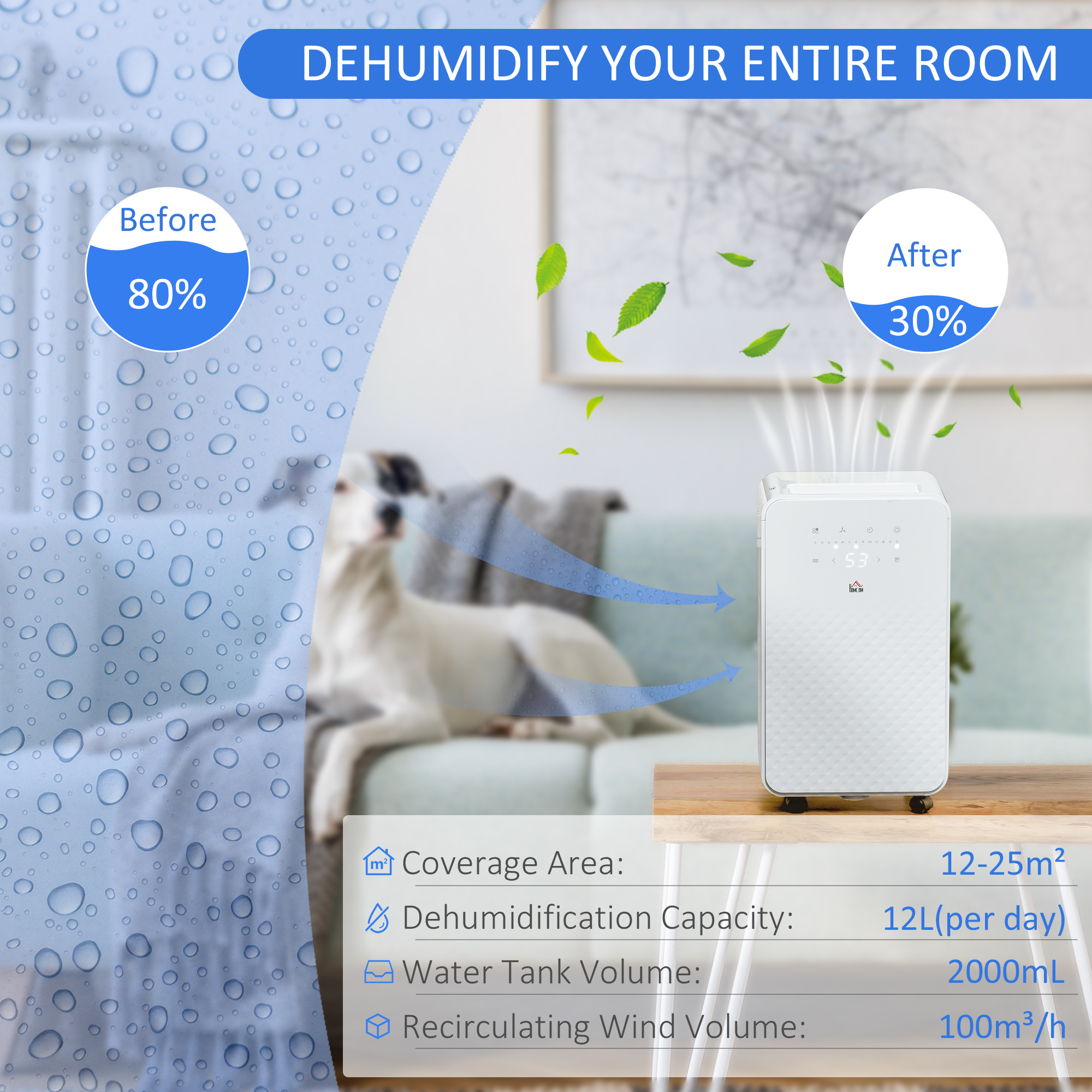 Portable Dehumidifier With Air Purifier