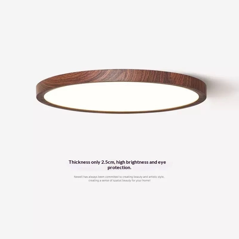Minimalist Bedroom Ceiling Light