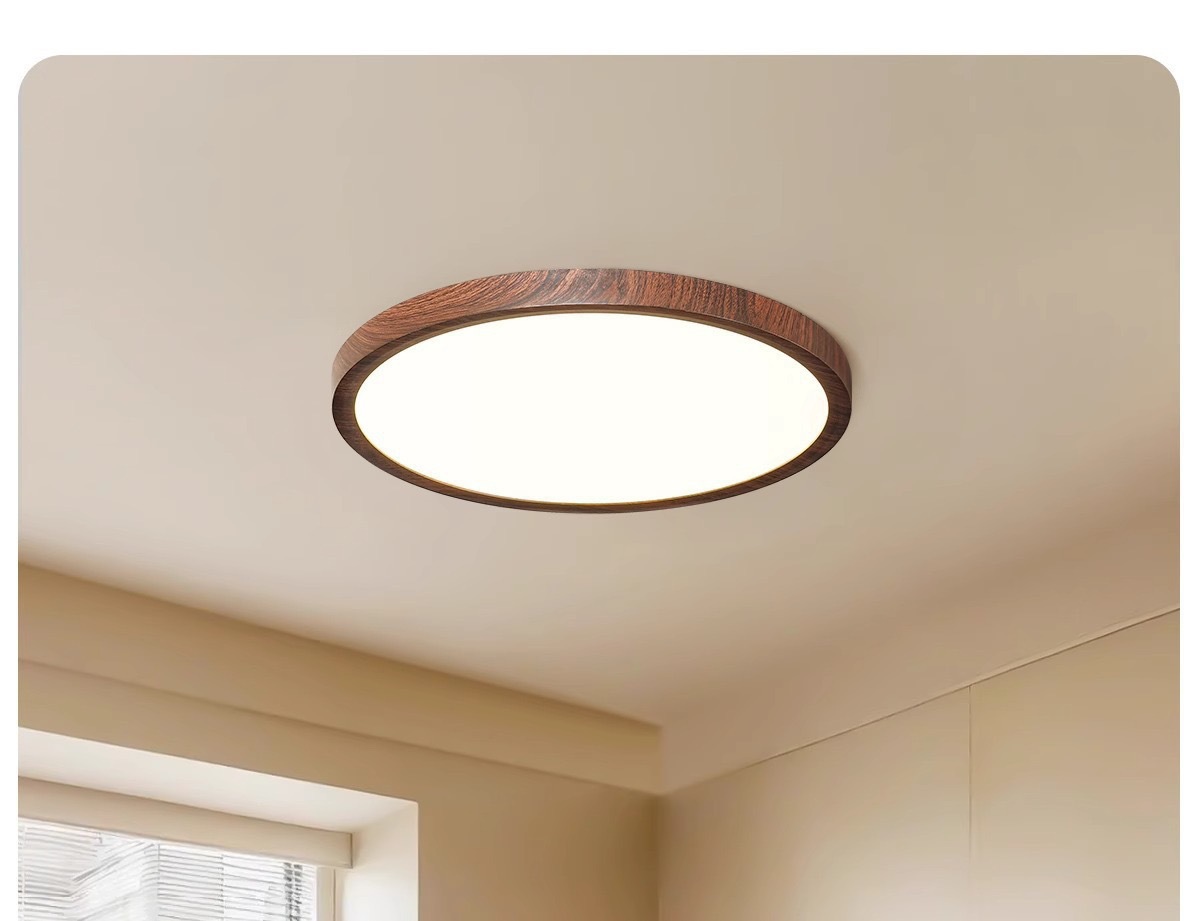 Minimalist Bedroom Ceiling Light