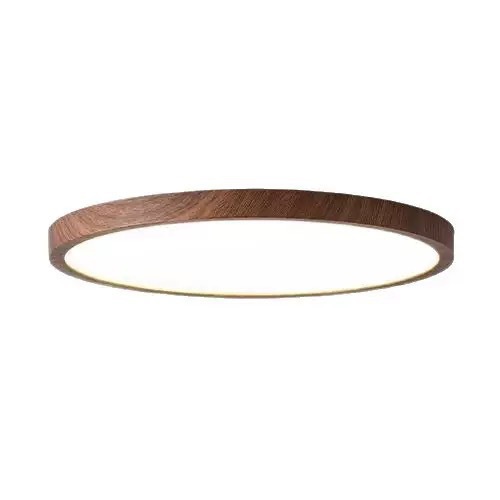 Minimalist Bedroom Ceiling Light