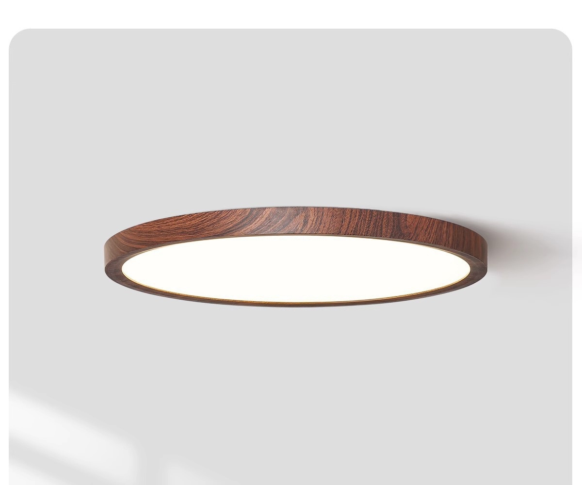 Minimalist Bedroom Ceiling Light