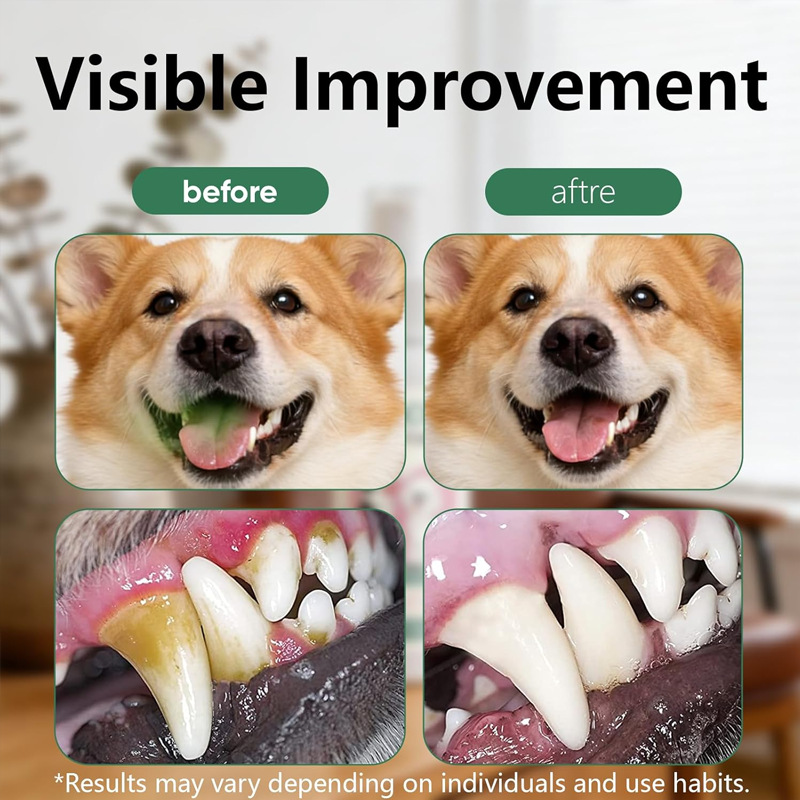 Plant-based Oral Spray For Pets