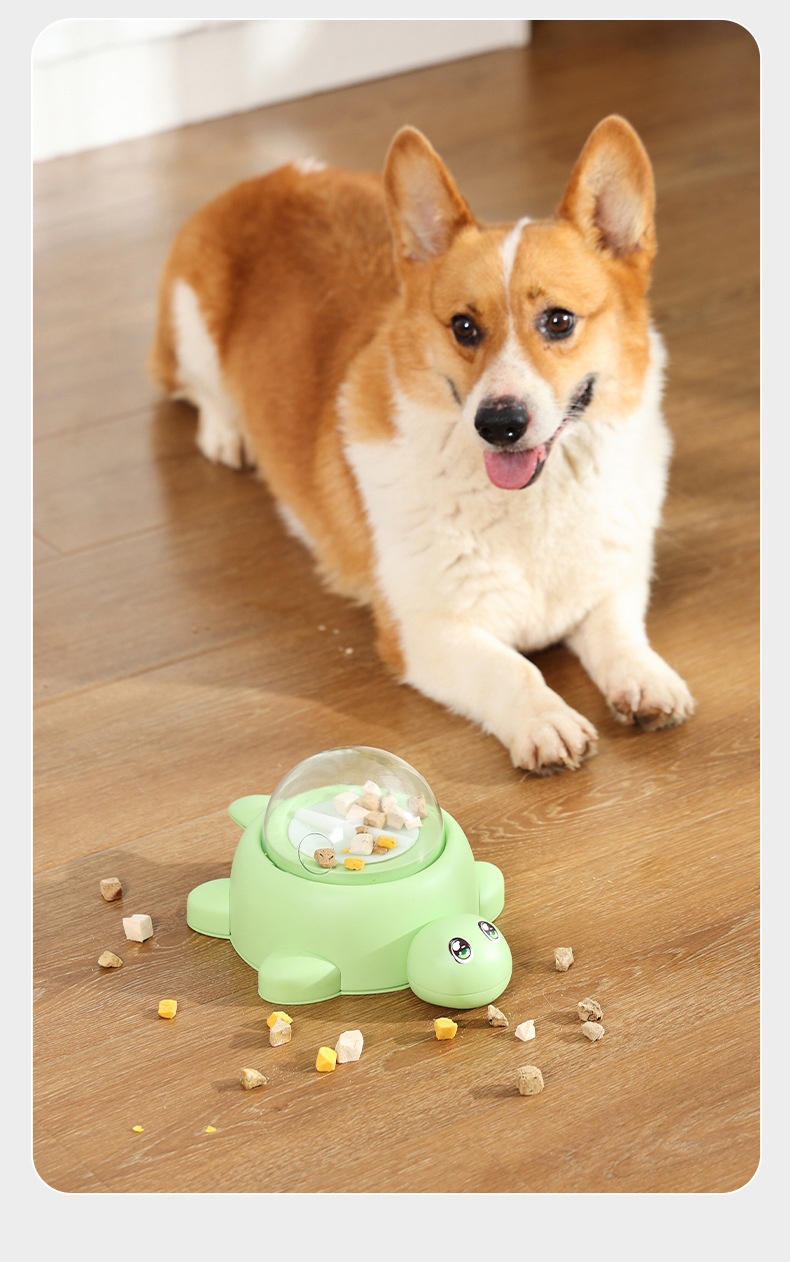 Pet Food Dispenser