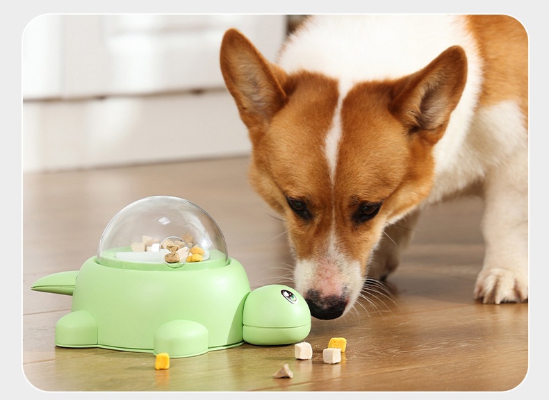 Pet Food Dispenser