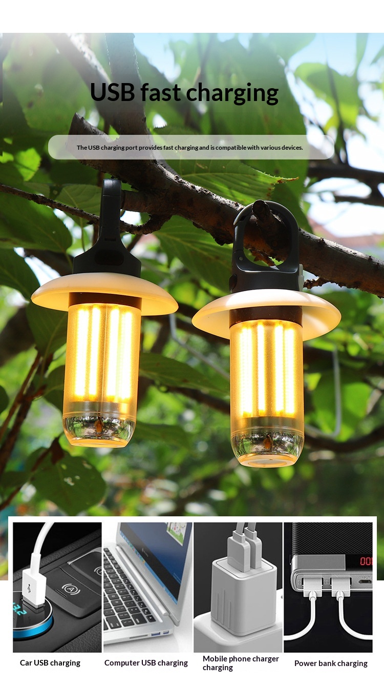 Dual-Source Camping Light