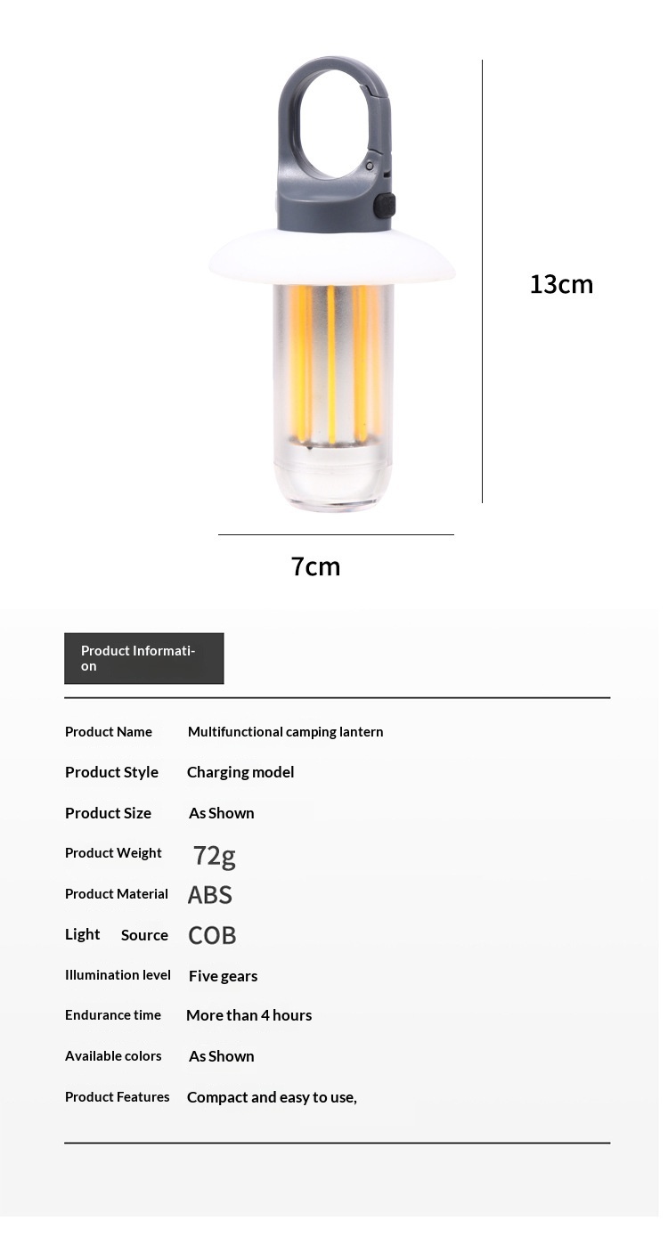 Dual-Source Camping Light