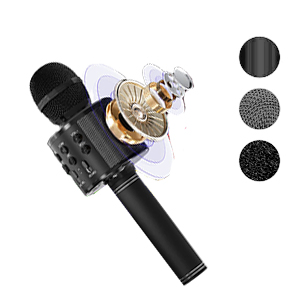 Wireless Karaoke Mic With Speaker