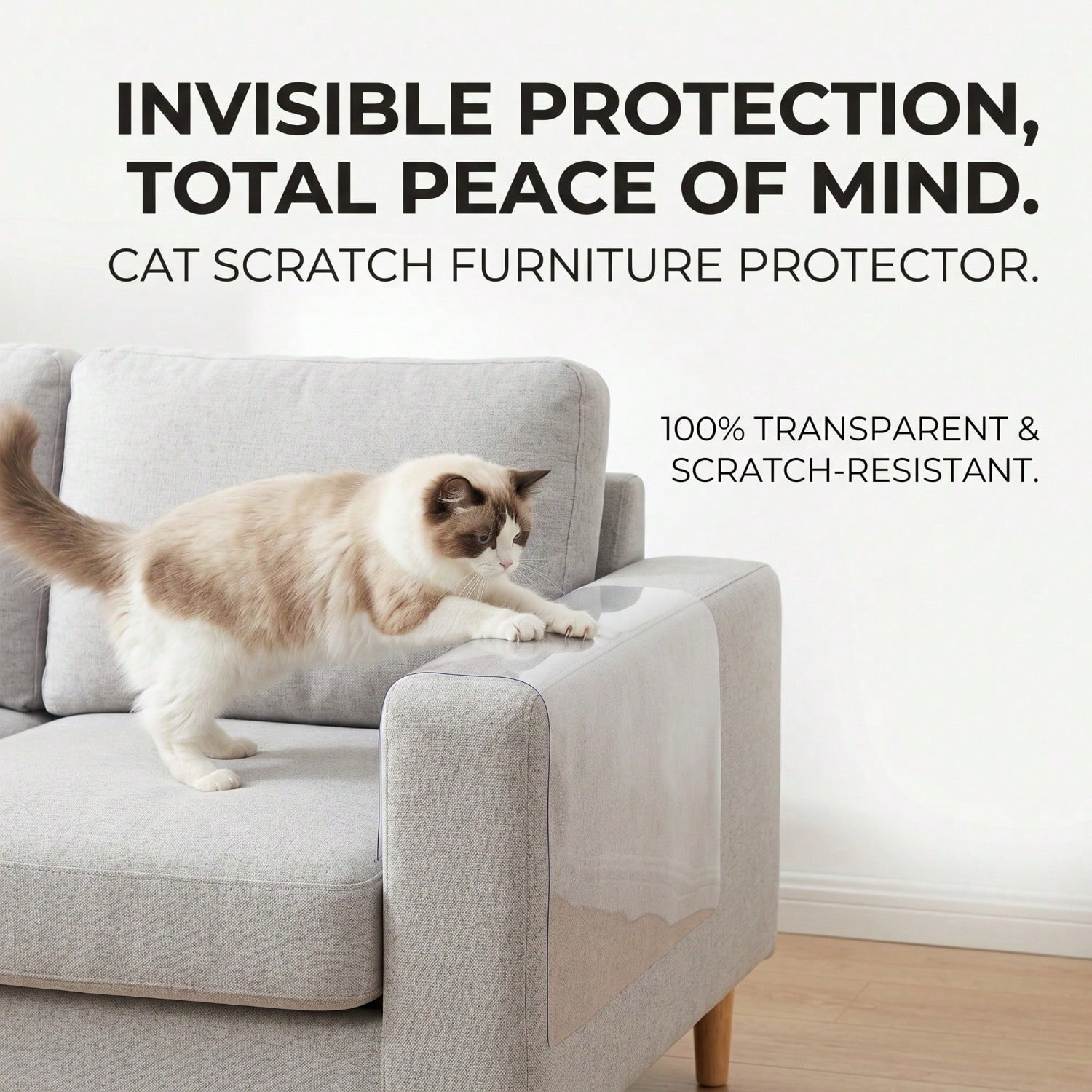 Cat Scratch Protector Set with Clear Sheets