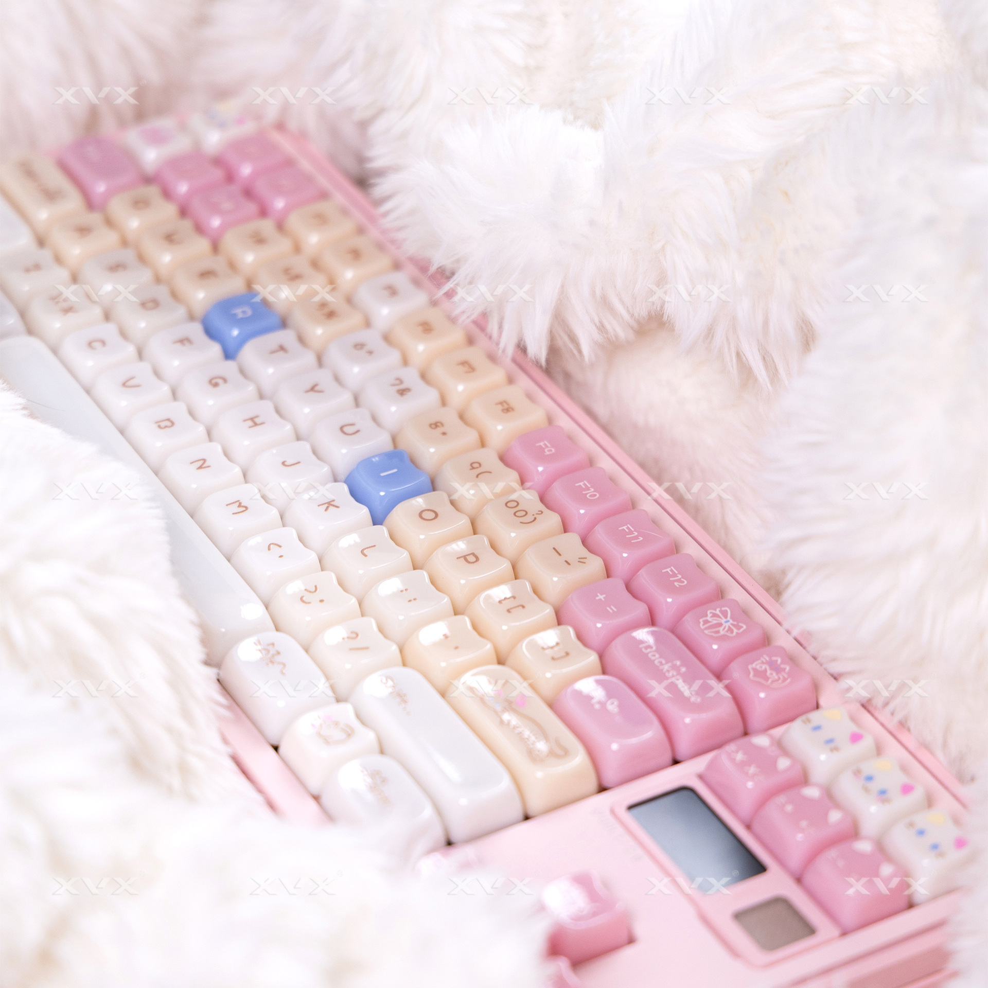 Ragdoll Cat Keyboard Caps