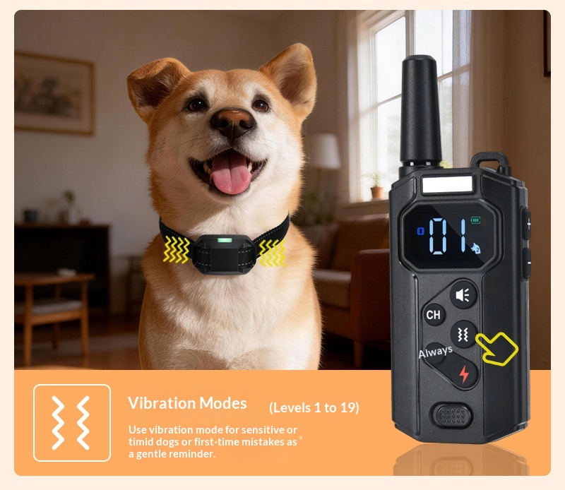 Smart Dog Training Collar