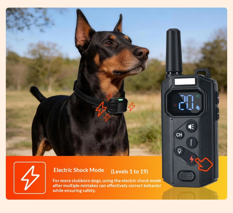 Smart Dog Training Collar