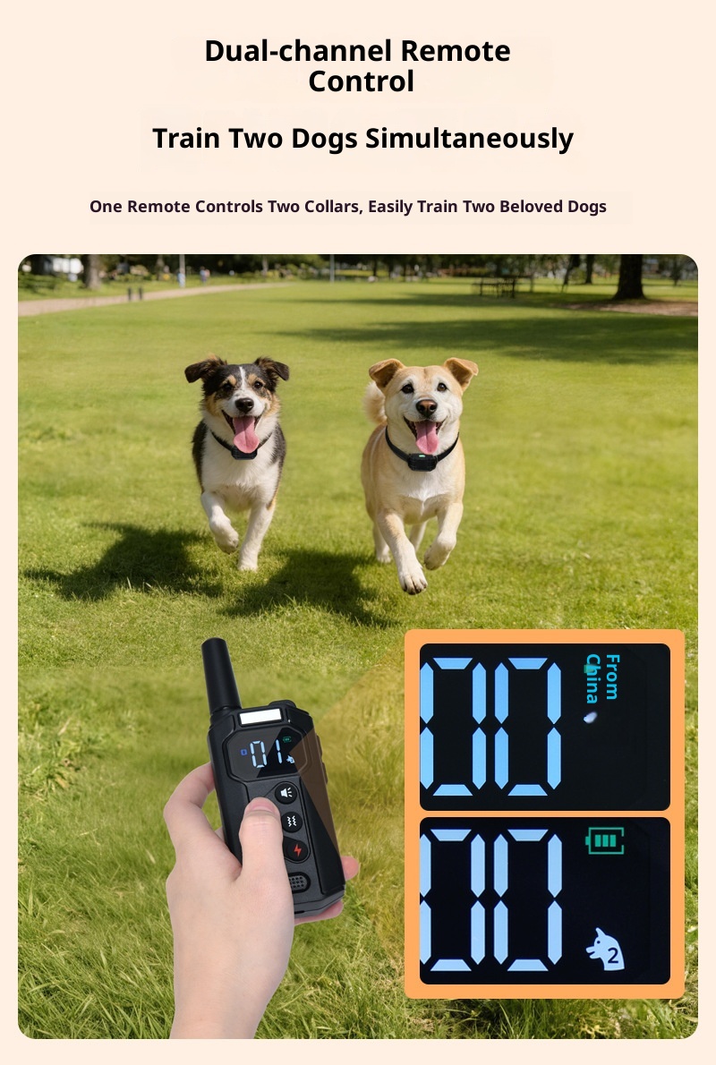 Smart Dog Training Collar