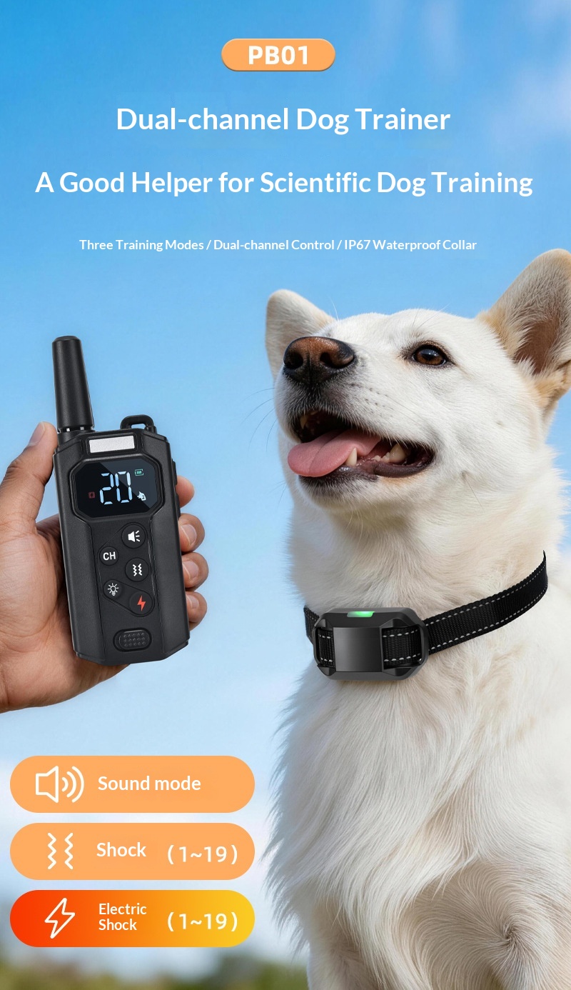 Smart Dog Training Collar