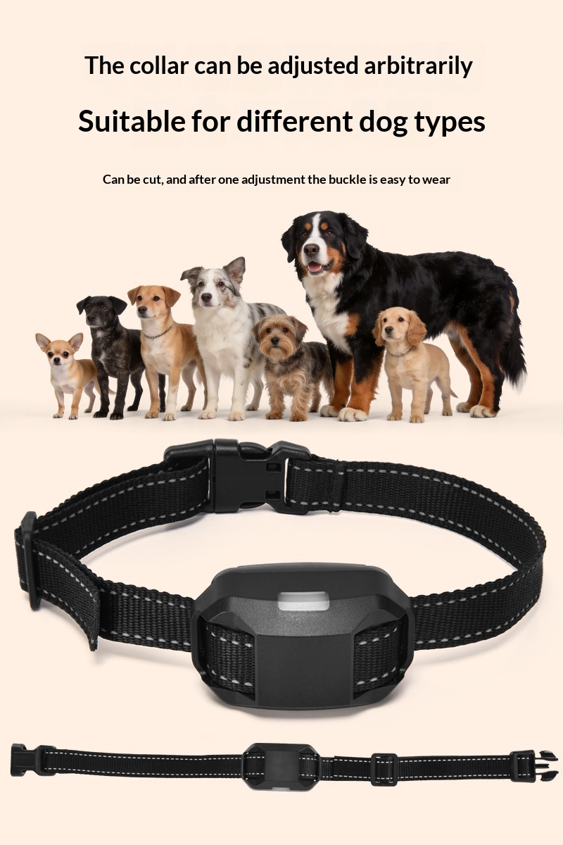 Smart Dog Training Collar