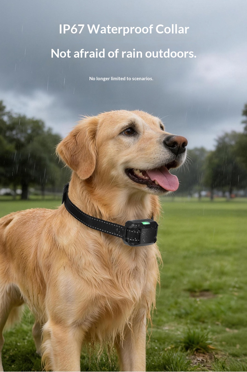 Smart Dog Training Collar