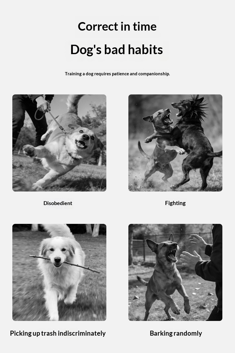 Smart Dog Training Collar