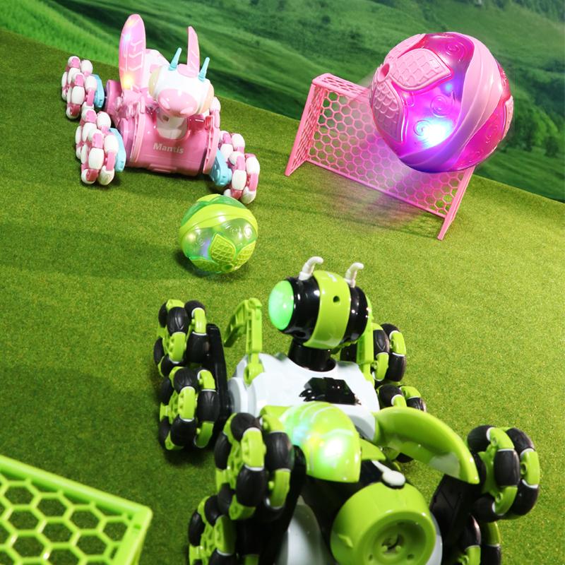 Remote Control Mechanical Mantis