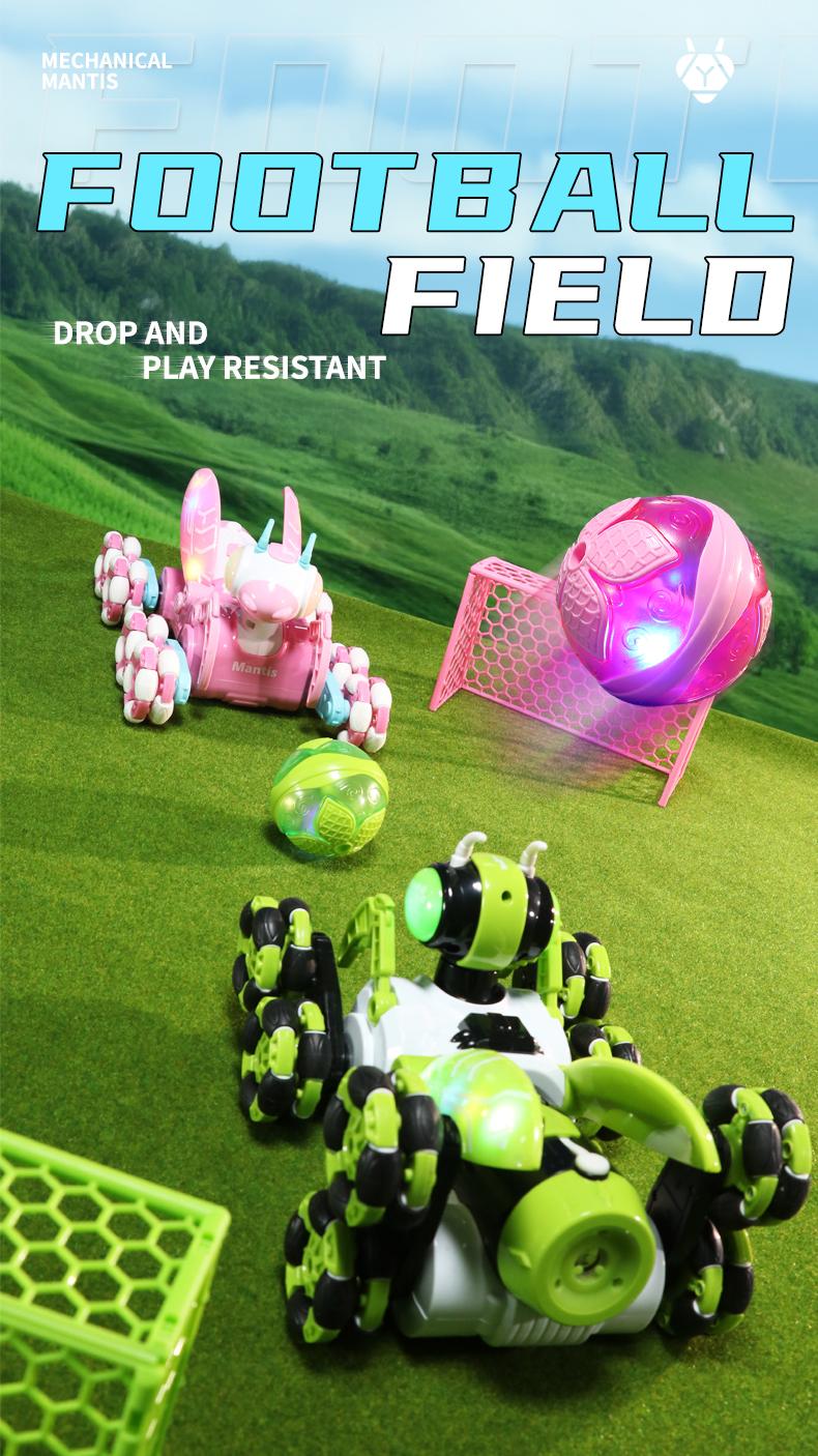 Remote Control Mechanical Mantis