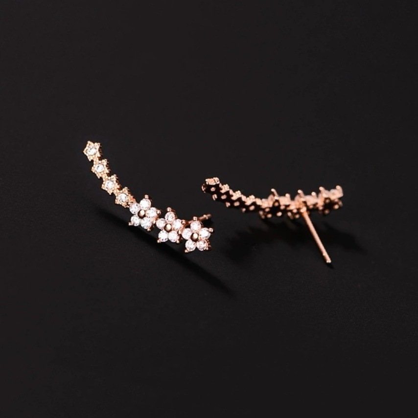 Zircon-Studded Earrings
