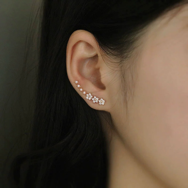 Zircon-Studded Earrings