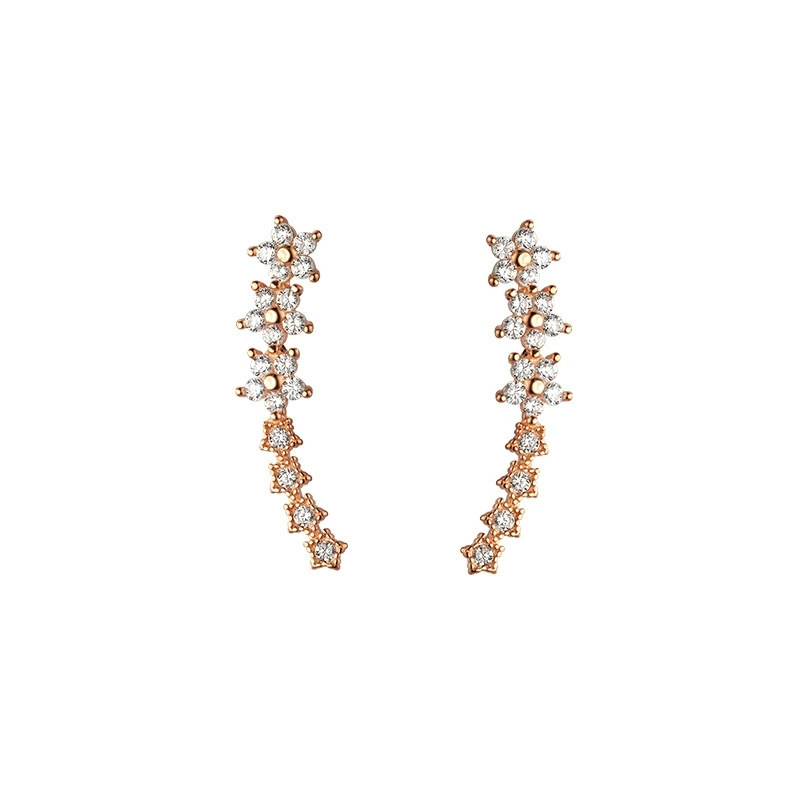 Zircon-Studded Earrings