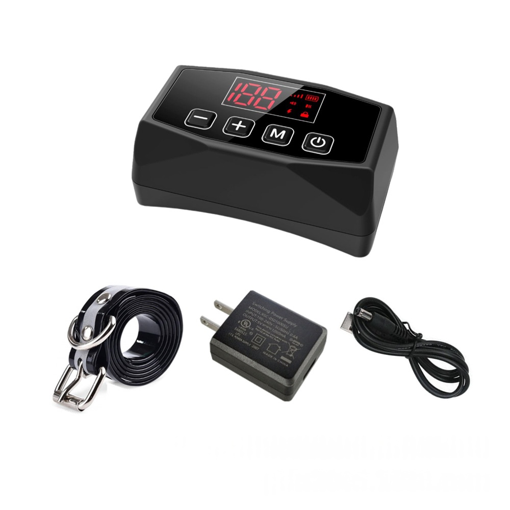 GPS Pet Dog Fence