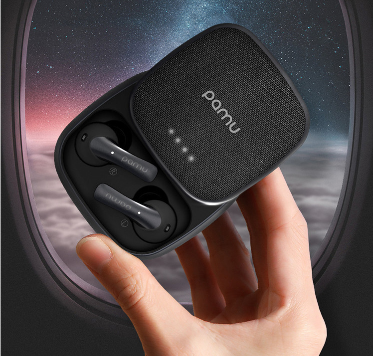 Noise-cancelling Earphones