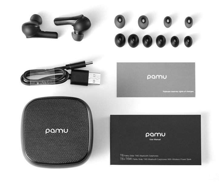 Noise-cancelling Earphones