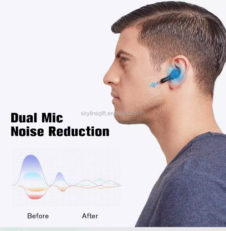 Noise-cancelling Earphones