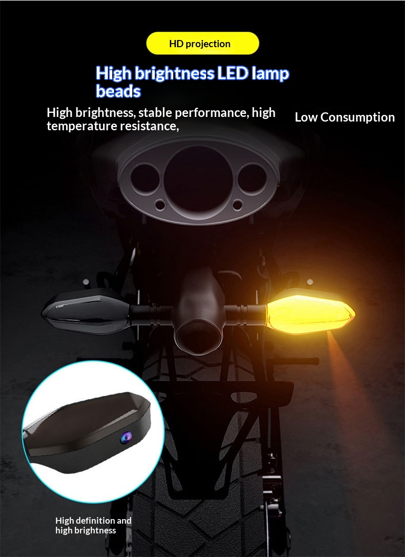 Electric Vehicle LED Tail Light