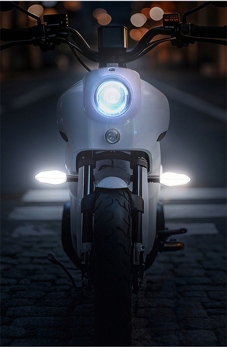 Electric Vehicle LED Tail Light