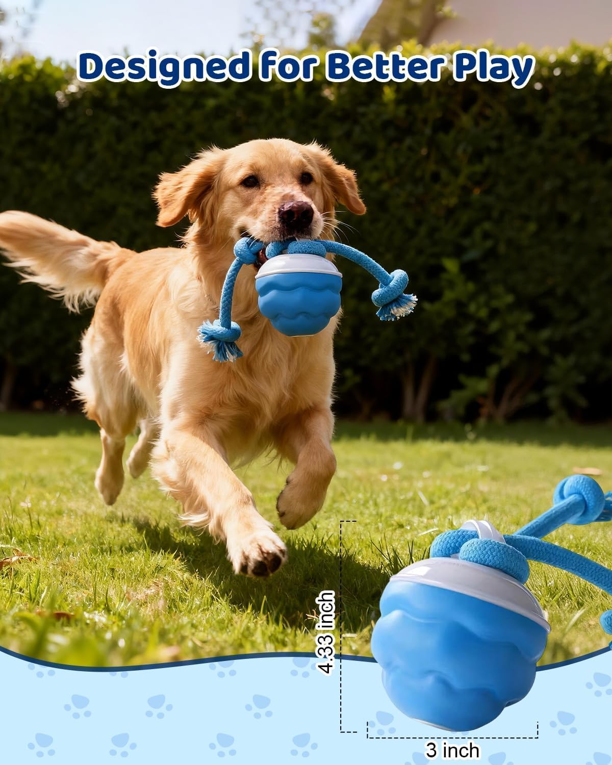 Interactive Dog Toy With Rope