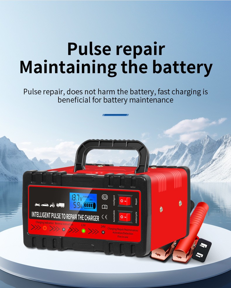 Smart Car Battery Charger