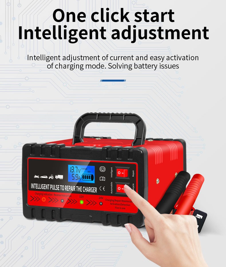 Smart Car Battery Charger