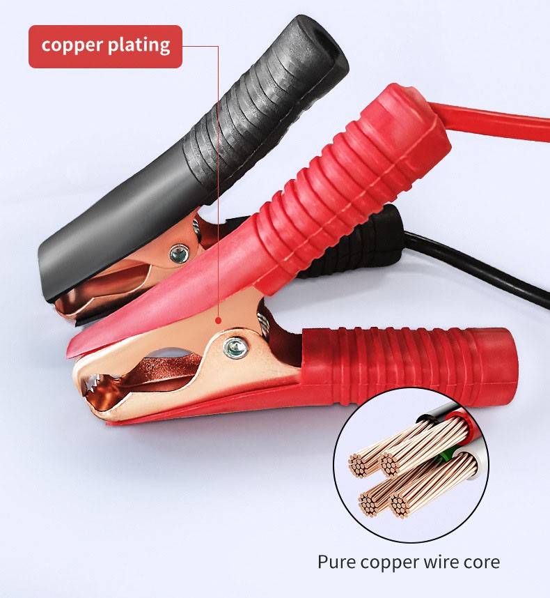 Smart Car Battery Charger