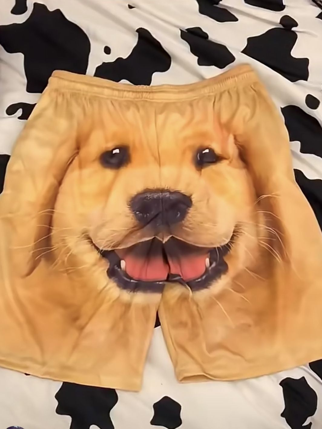 Casual Beach Shorts