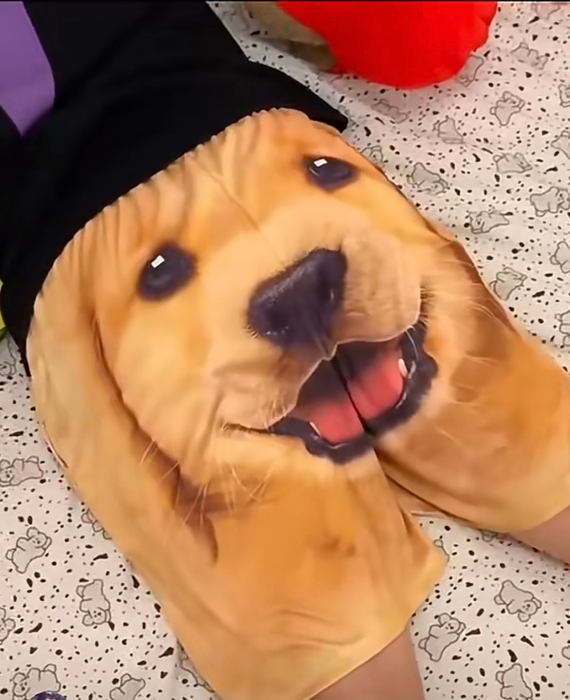 Casual Beach Shorts