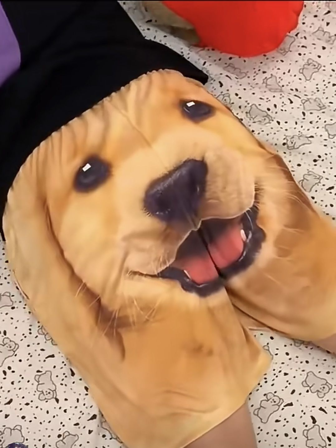 Casual Beach Shorts