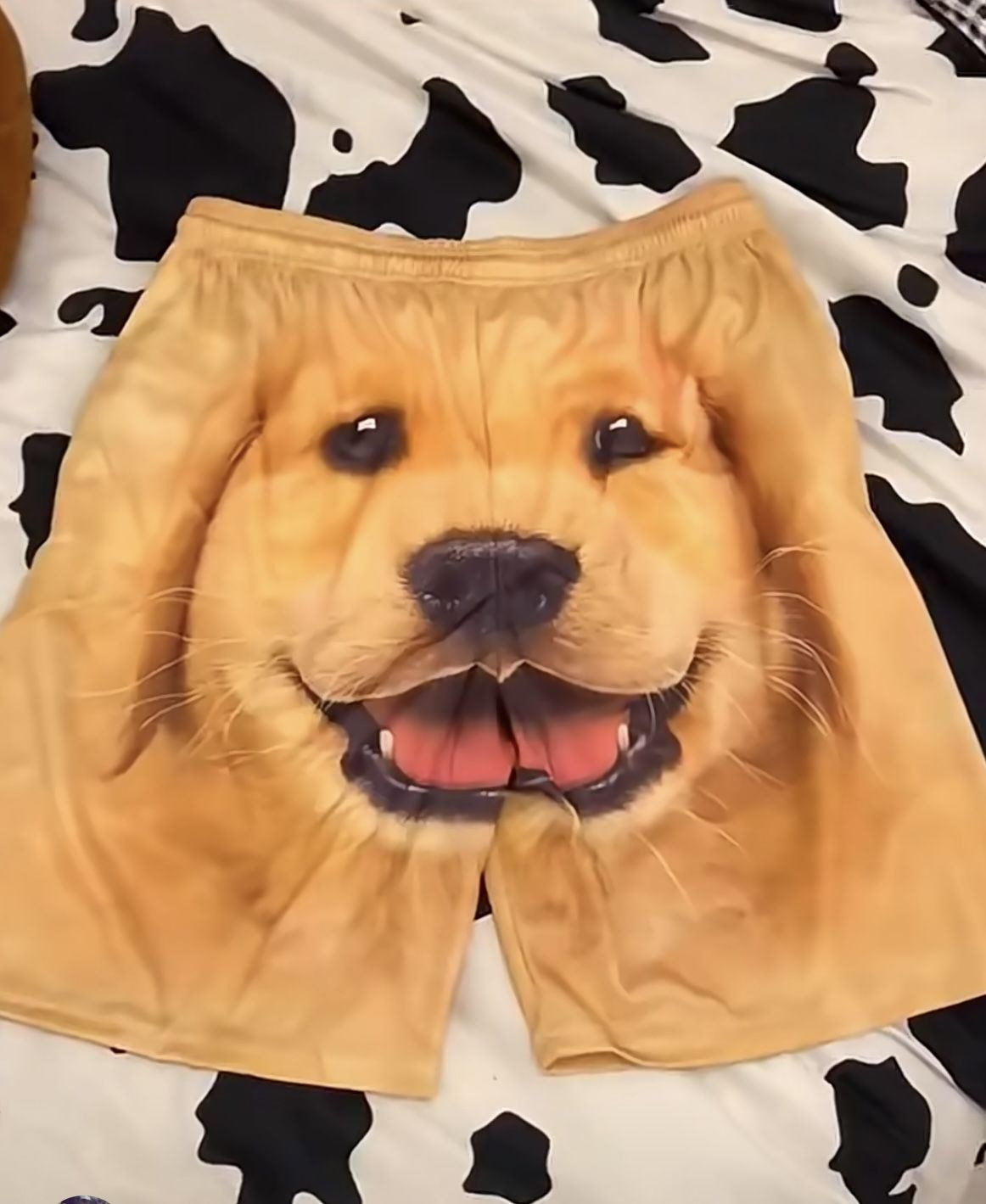 Casual Beach Shorts