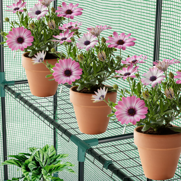 Black Iron Greenhouse with Grid Flower Stand