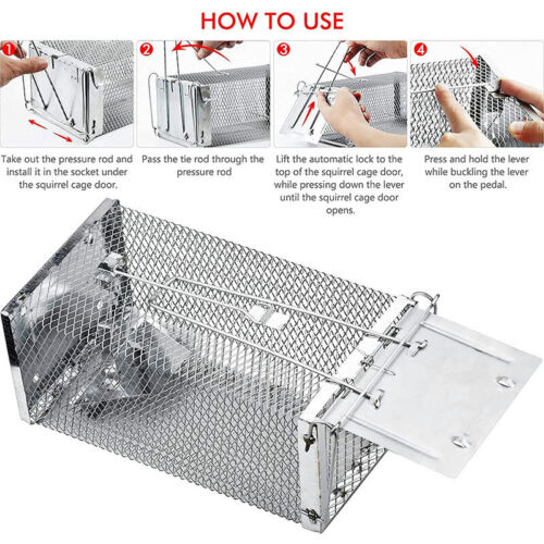 Humane Rat Trap Cage Live Animal Catch