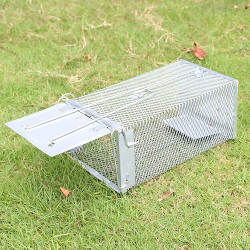 Humane Rat Trap Cage Live Animal Catch