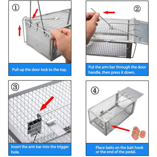 Humane Rat Trap Cage Live Animal Catch
