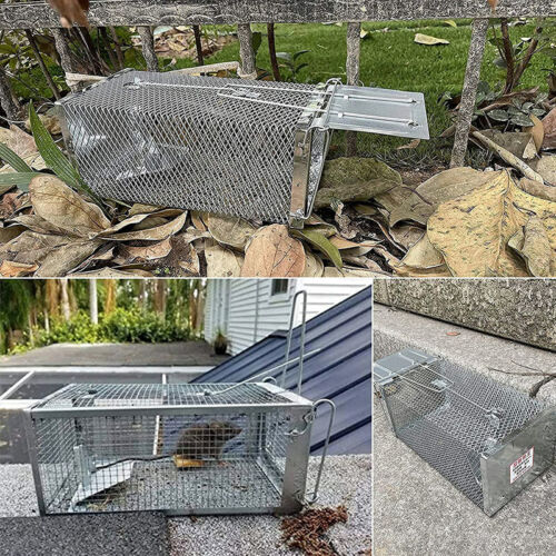 Humane Rat Trap Cage Live Animal Catch