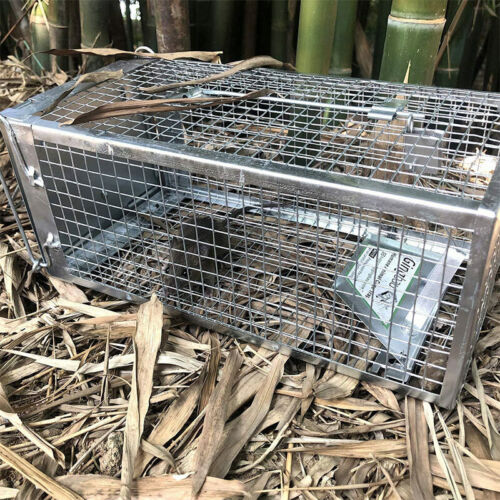 Humane Rat Trap Cage Live Animal Catch