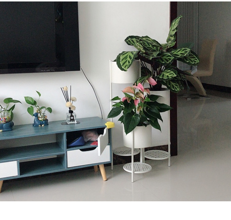 Pothos Flower Stand, Nordic Multi-tier Shelf