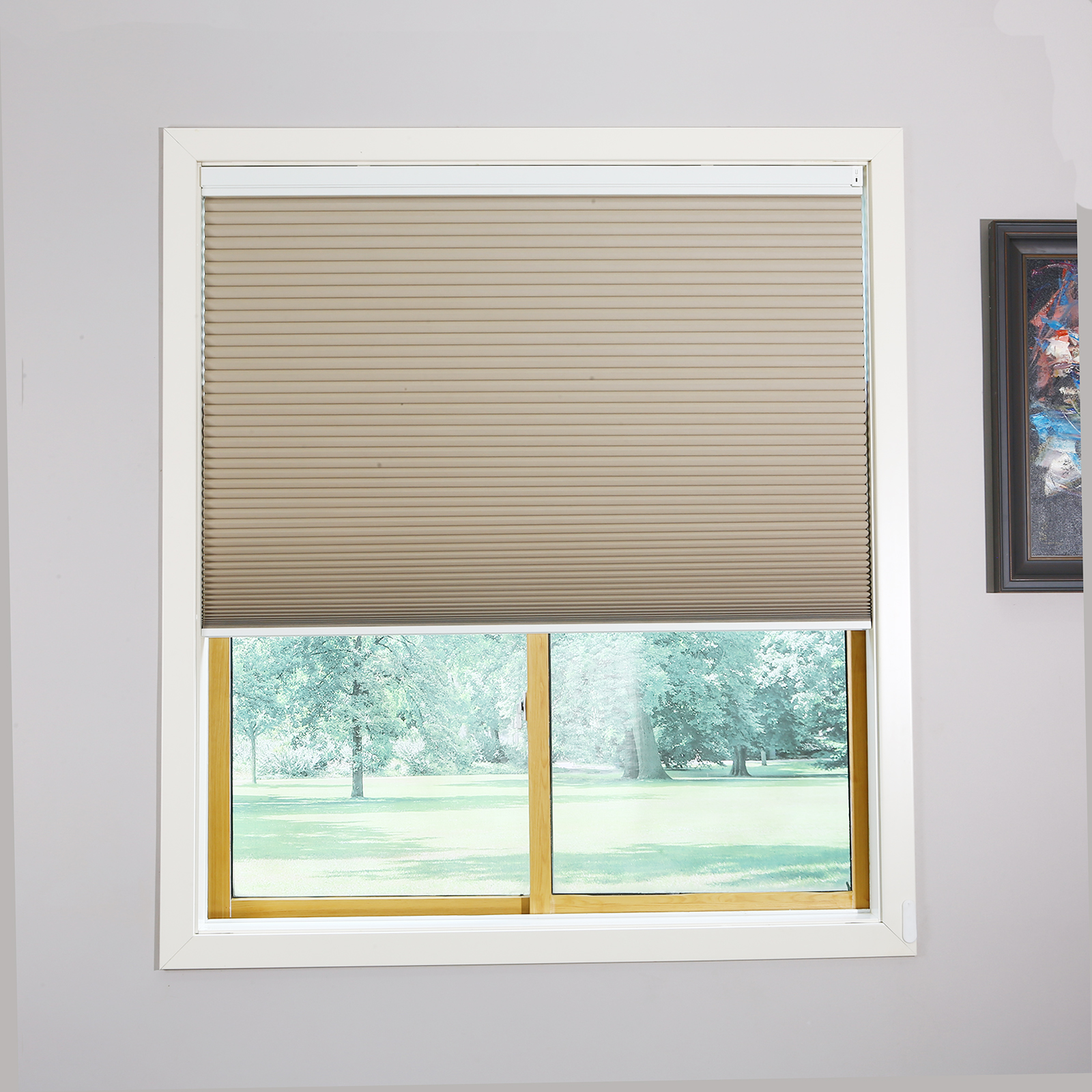 Motorized Shades With Remote Control And Solar