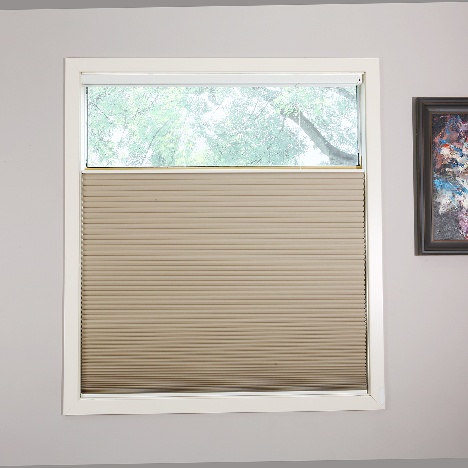 Motorized Shades With Remote Control And Solar