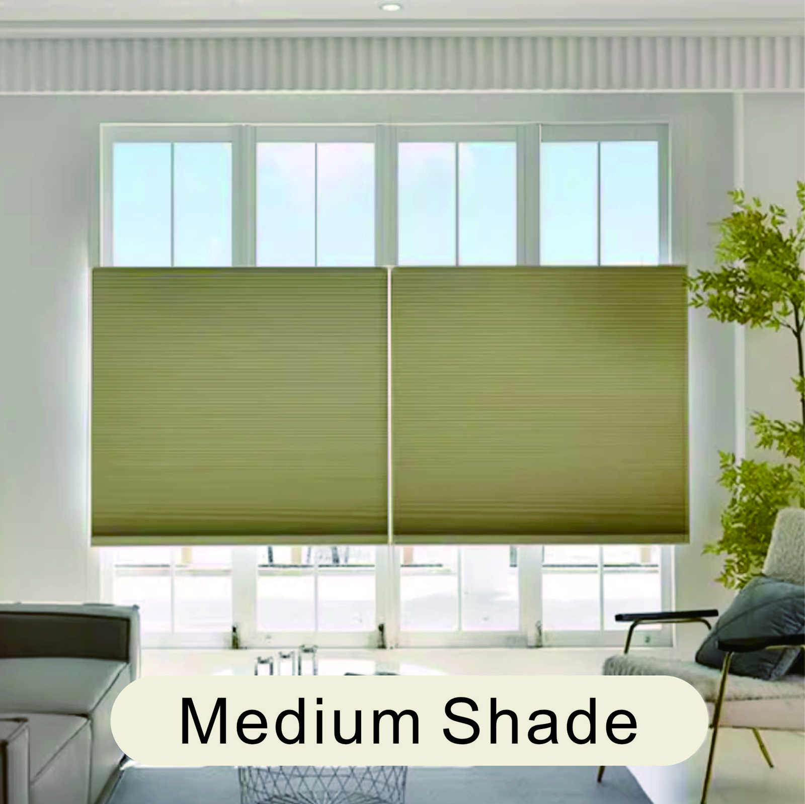 Motorized Shades With Remote Control And Solar