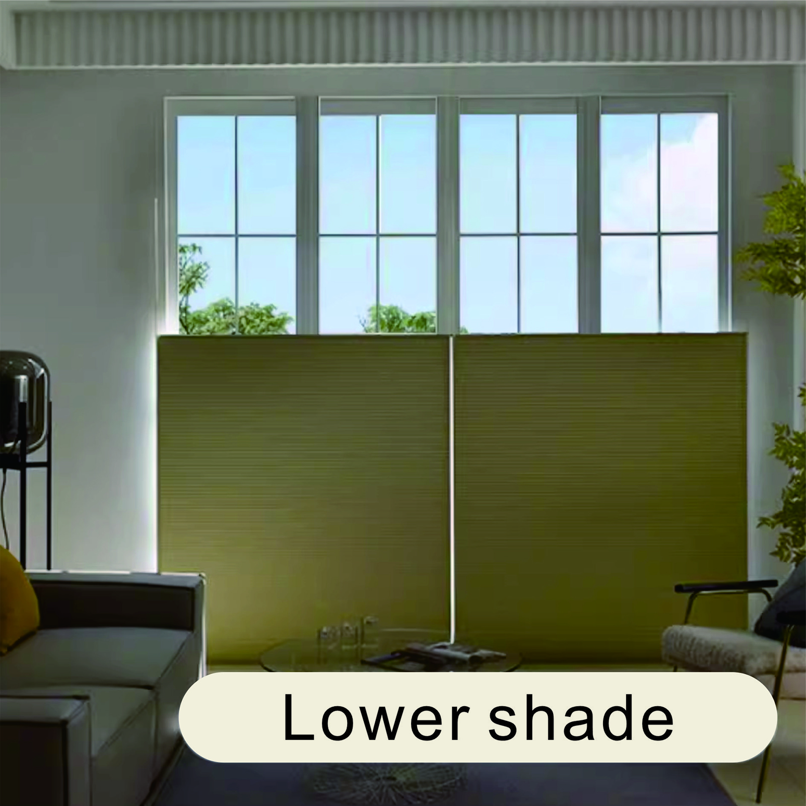 Motorized Shades With Remote Control And Solar
